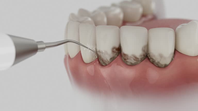Reliable Dental Implants contractor in Liberty County County, GA by Dentist Open Now